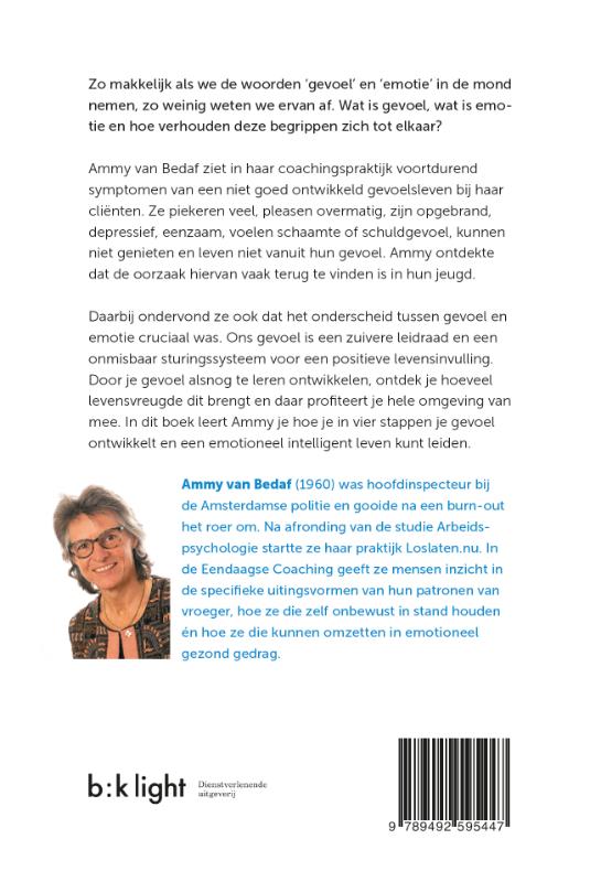 Grip op gevoel en emotie (Paperback)