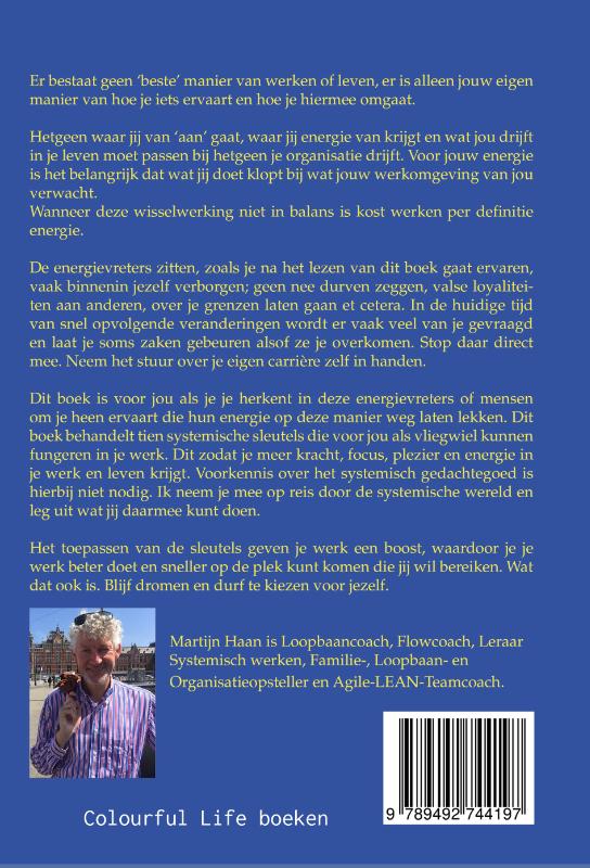 Persoonlijk systemisch leiderschap (Paperback)