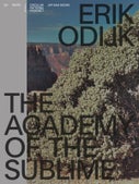 Erik Odijk. The Academy of the Sublime (Paperback)