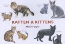 Katten & Kittens (Kaartspellen)