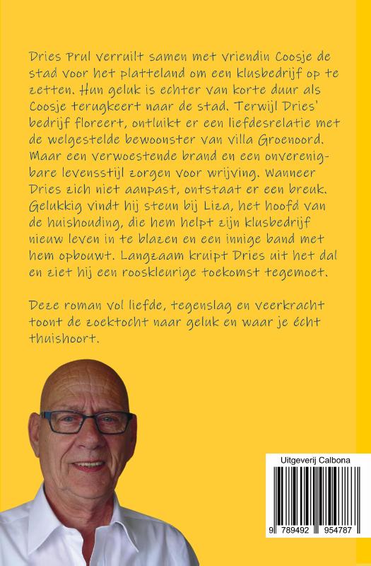 De vrouwen van Dries (Paperback)