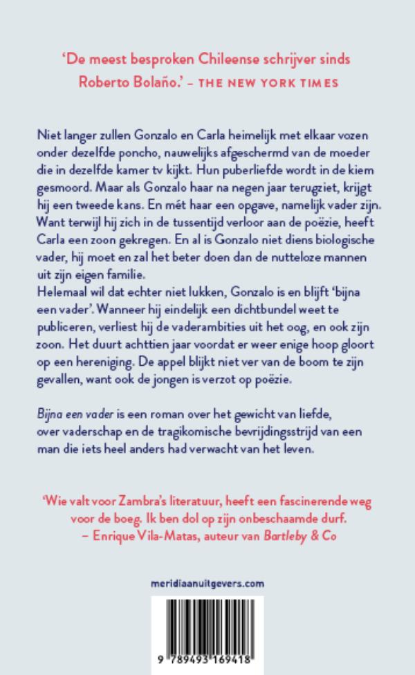 Bijna een vader (E-book)