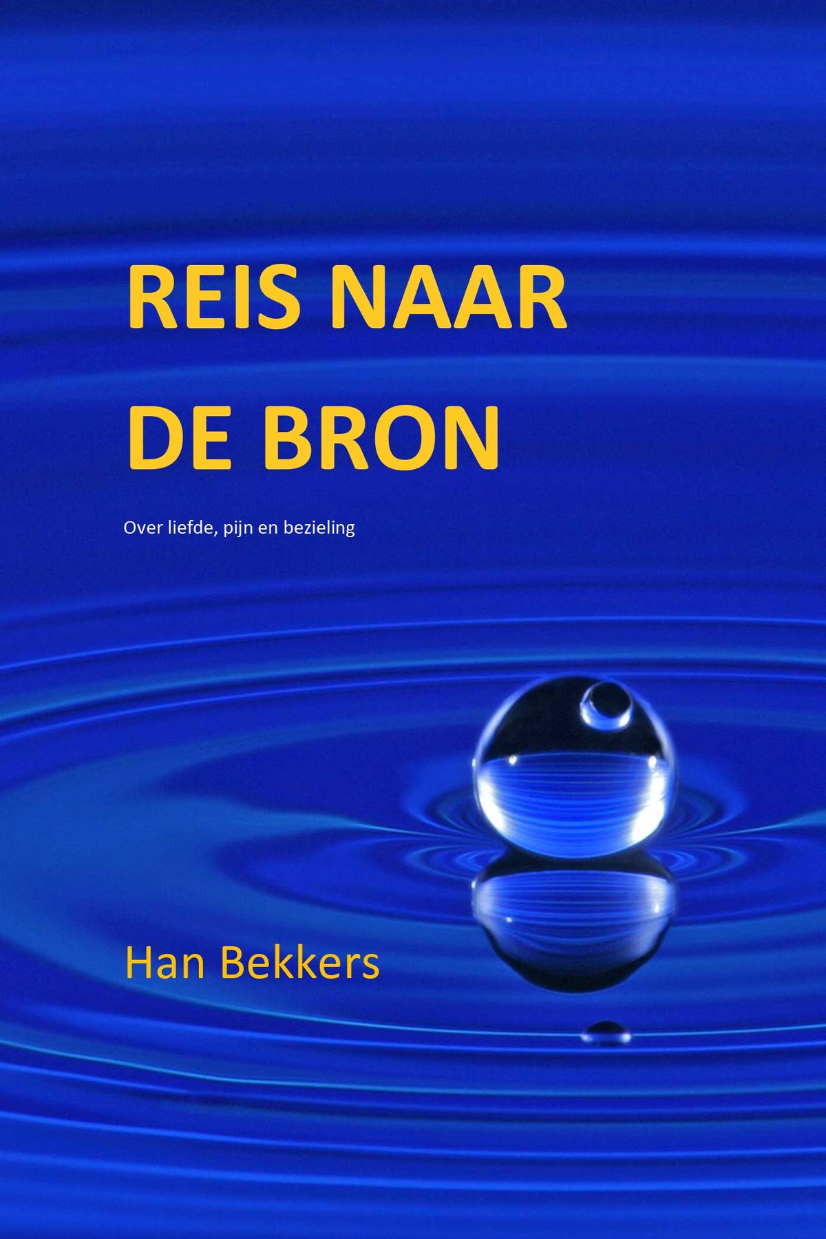 Reis naar de bron (E-book)