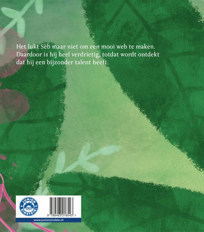 Het web van Seb (Hardback)