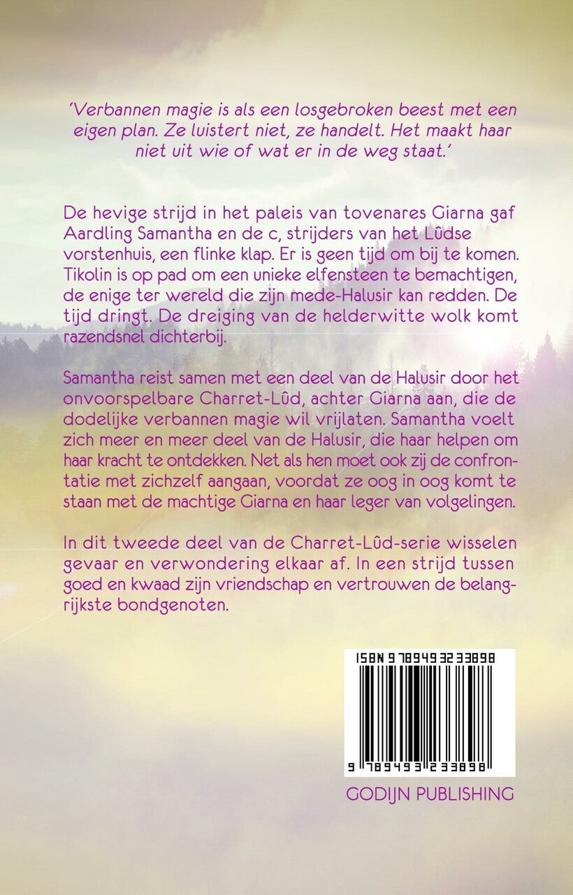 Verbannen magie (E-book)