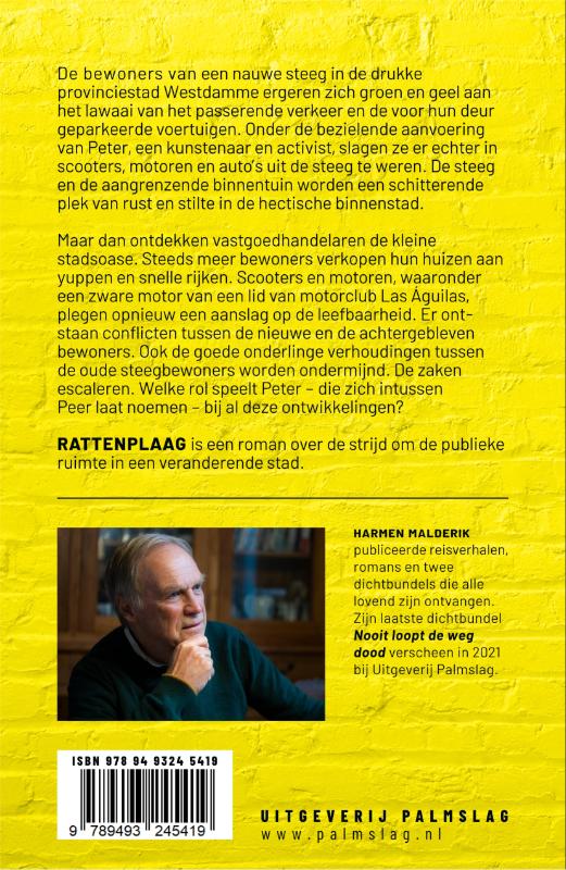 Rattenplaag (Paperback)