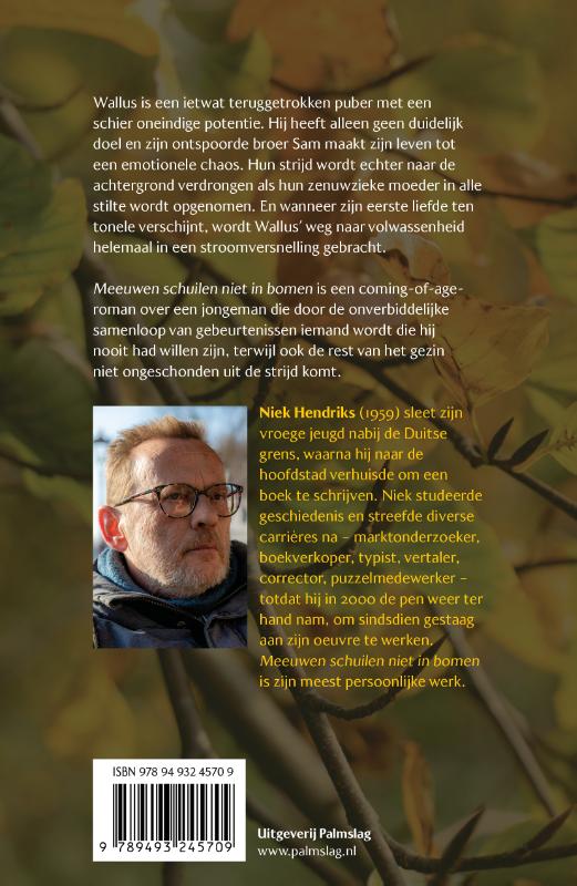 Meeuwen schuilen niet in bomen (Paperback)