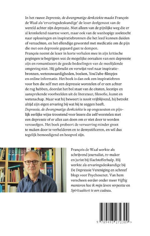 Depressie, de dwangmatige denkziekte (Paperback)
