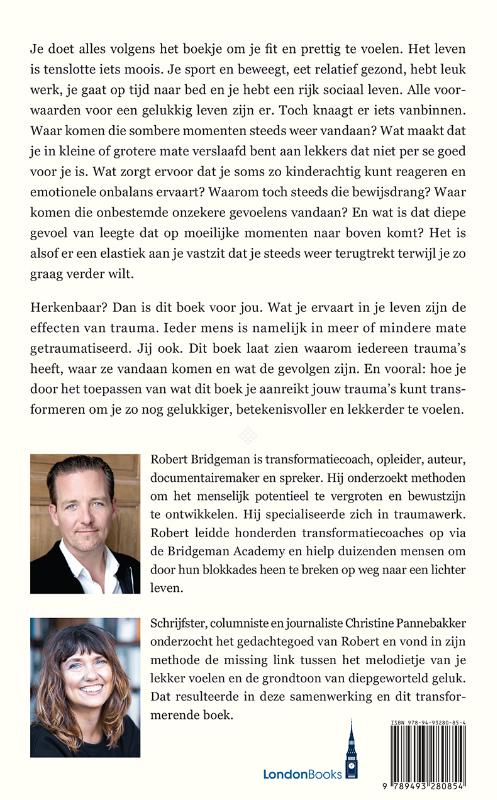 Trauma, je bent gek als je het niet hebt (Paperback)