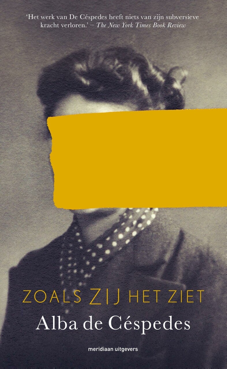Zoals zij het ziet (E-book)