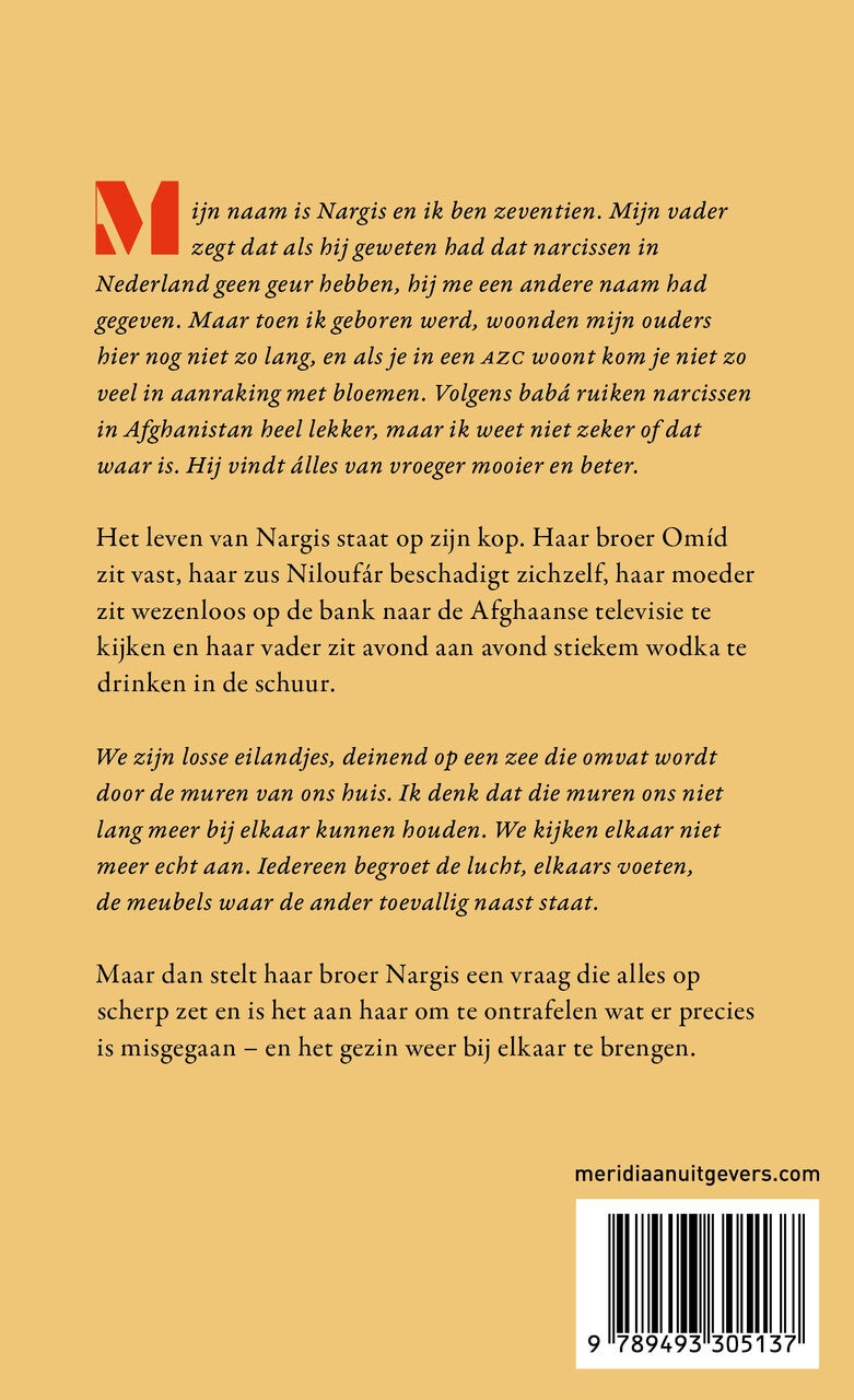 Nargis (E-book)