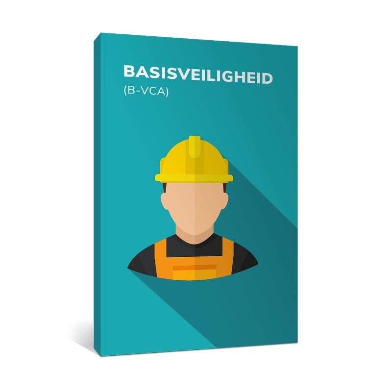 Basisveiligheid (B-VCA) (Paperback)