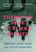 Theologie in de publieke ruimte (Paperback)