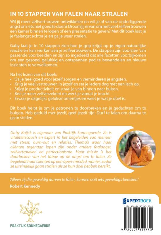 In 10 stappen van falen naar stralen (Paperback)