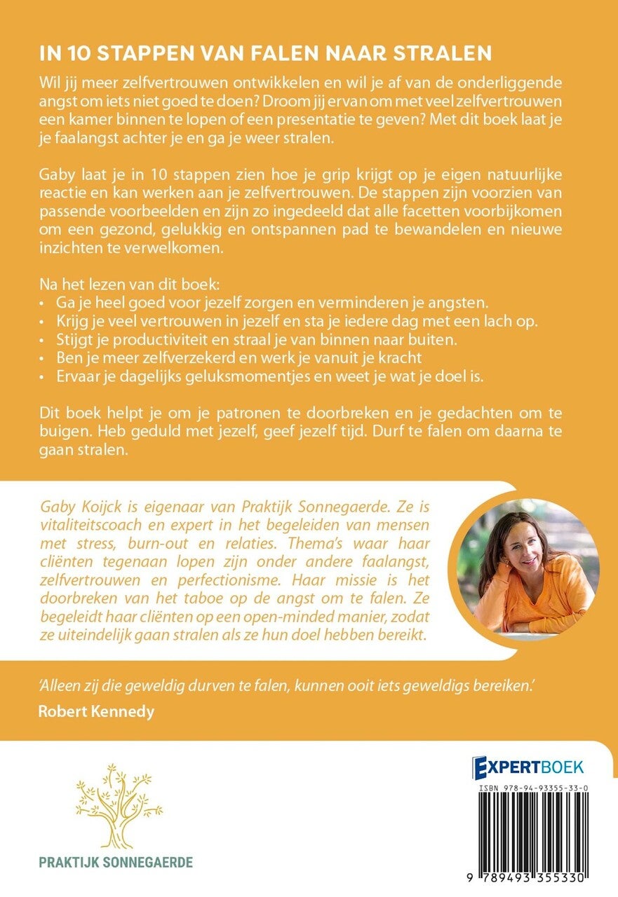 In 10 stappen van falen naar stralen (E-book)