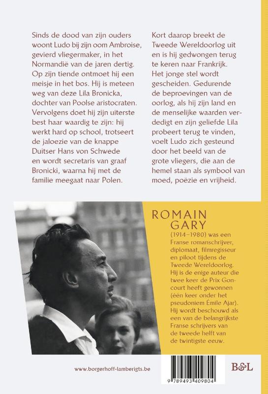 De vliegers (Paperback)