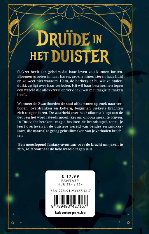 Druïde in het duister (Hardback)