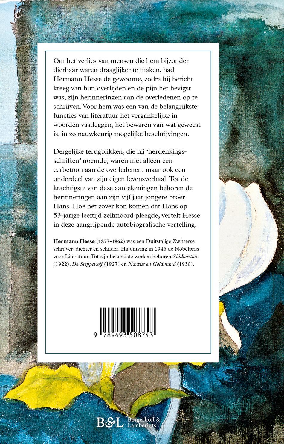 Herinnering aan Hans (E-book)