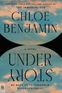 Under Story (Paperback)