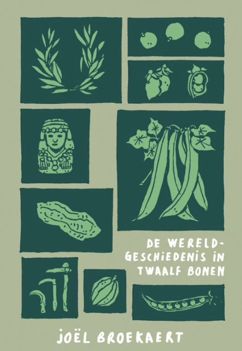 De wereldgeschiedenis in twaalf bonen (Hardback)
