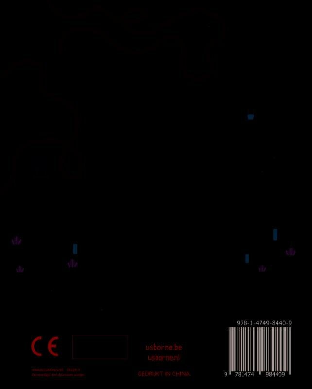 Zomer puzzelboek (Paperback) Zomer puzzelboek (Paperback)