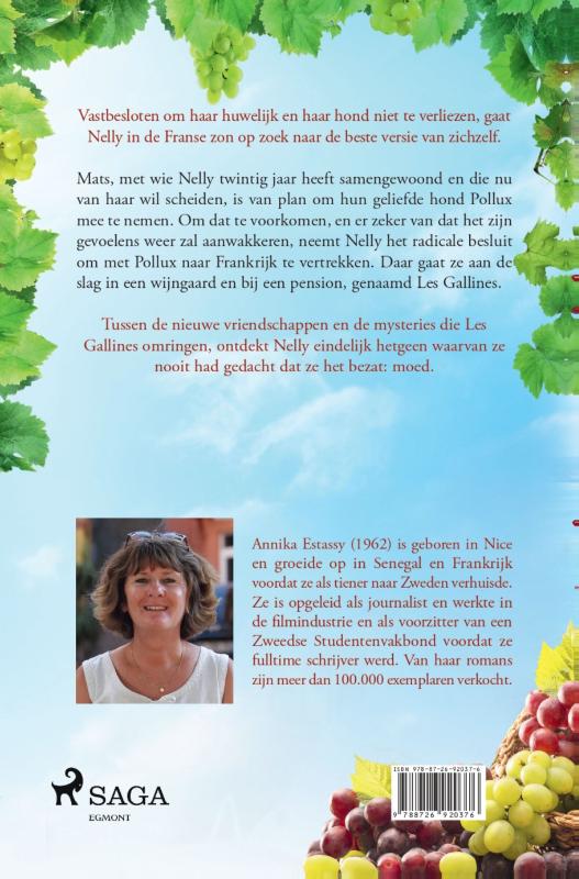 De wijngaard tussen berg en zee (Paperback) De wijngaard tussen berg en zee (Paperback)