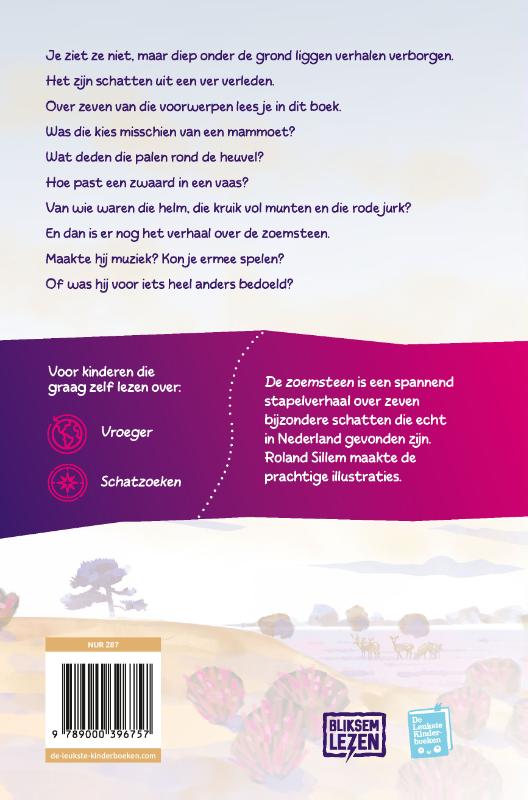 De zoemsteen (Hardback) De zoemsteen (Hardback)
