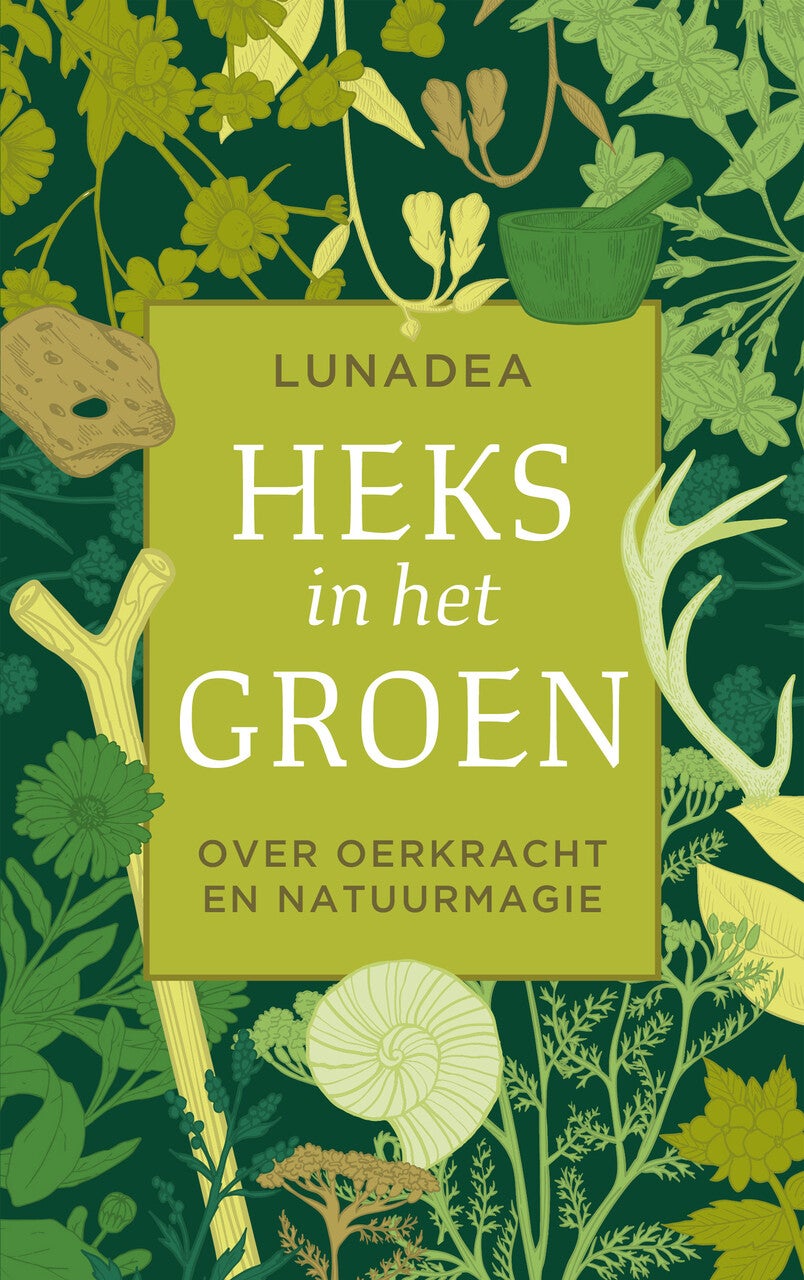 Heks in het groen (Paperback) Heks in het groen (Paperback)
