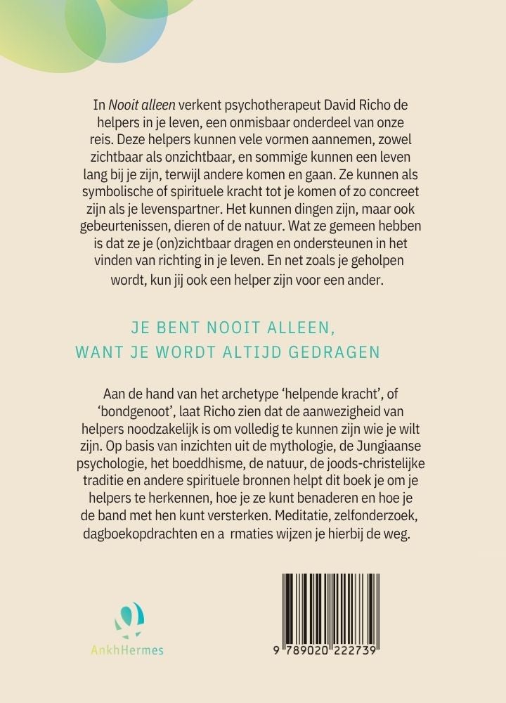 Nooit alleen (Paperback) Nooit alleen (Paperback)