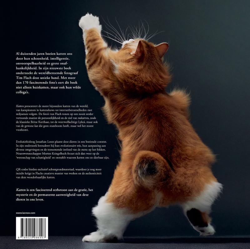 Katten (Hardback) Katten (Hardback)