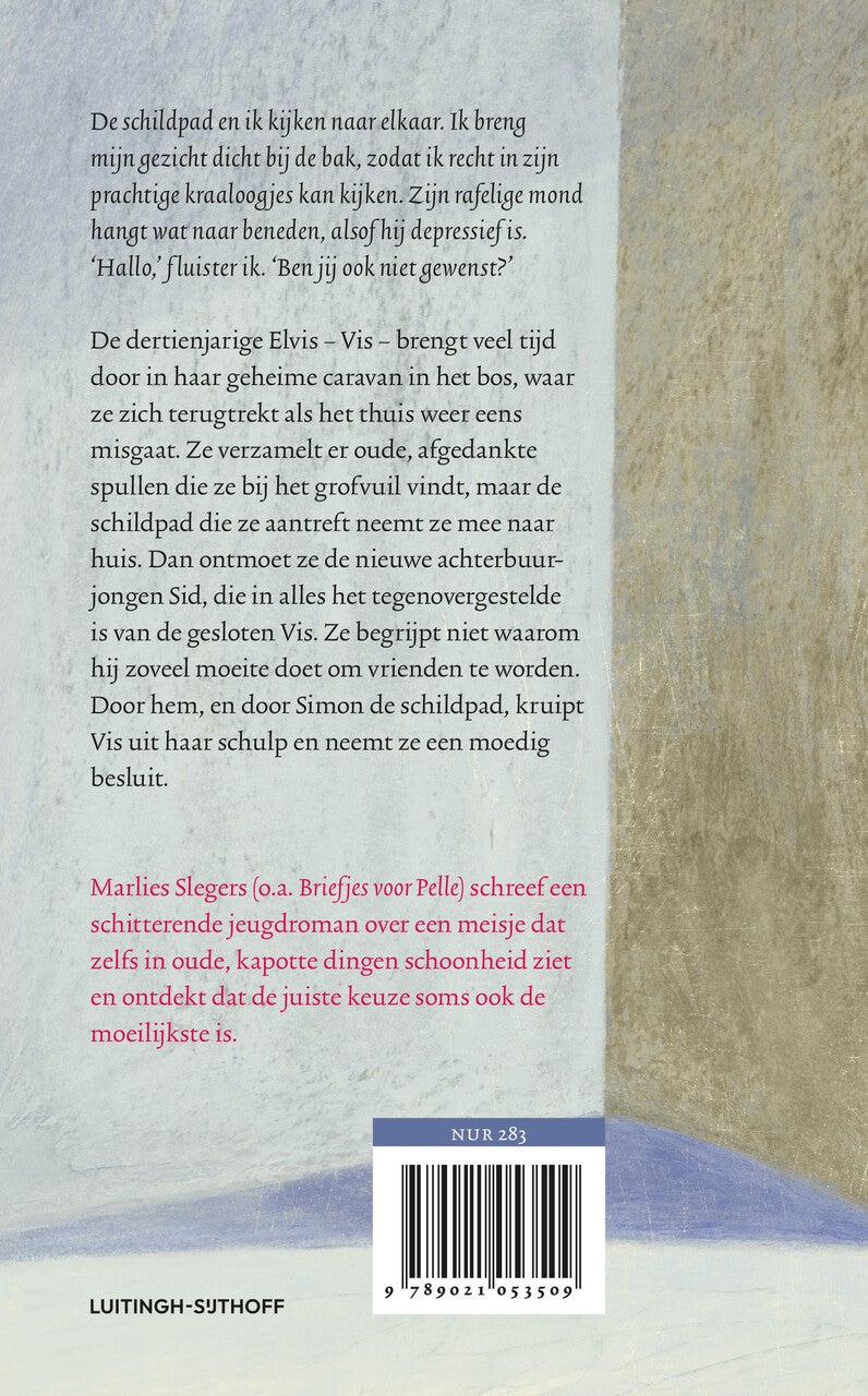 Schildpadmeisje (Hardback) Schildpadmeisje (Hardback)