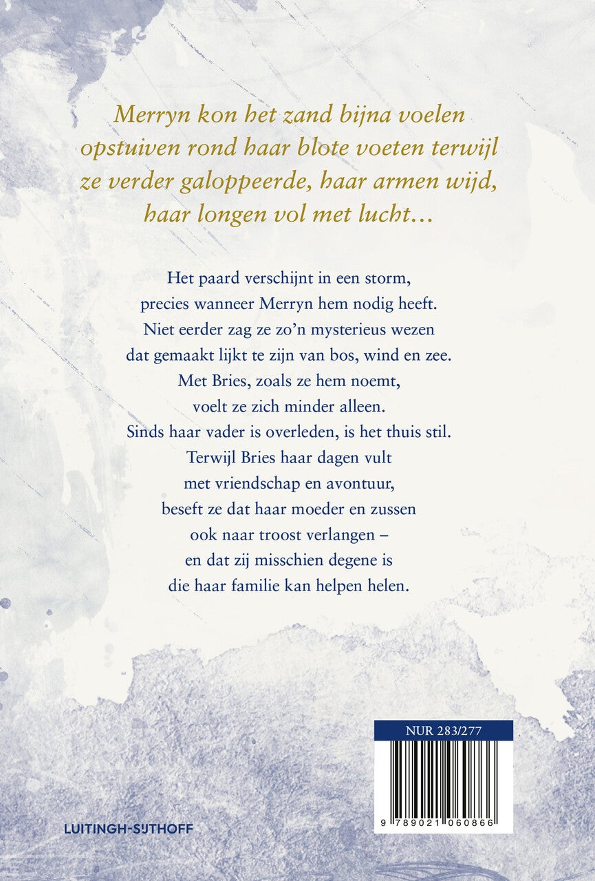 Stormpaard (Hardback) Stormpaard (Hardback)