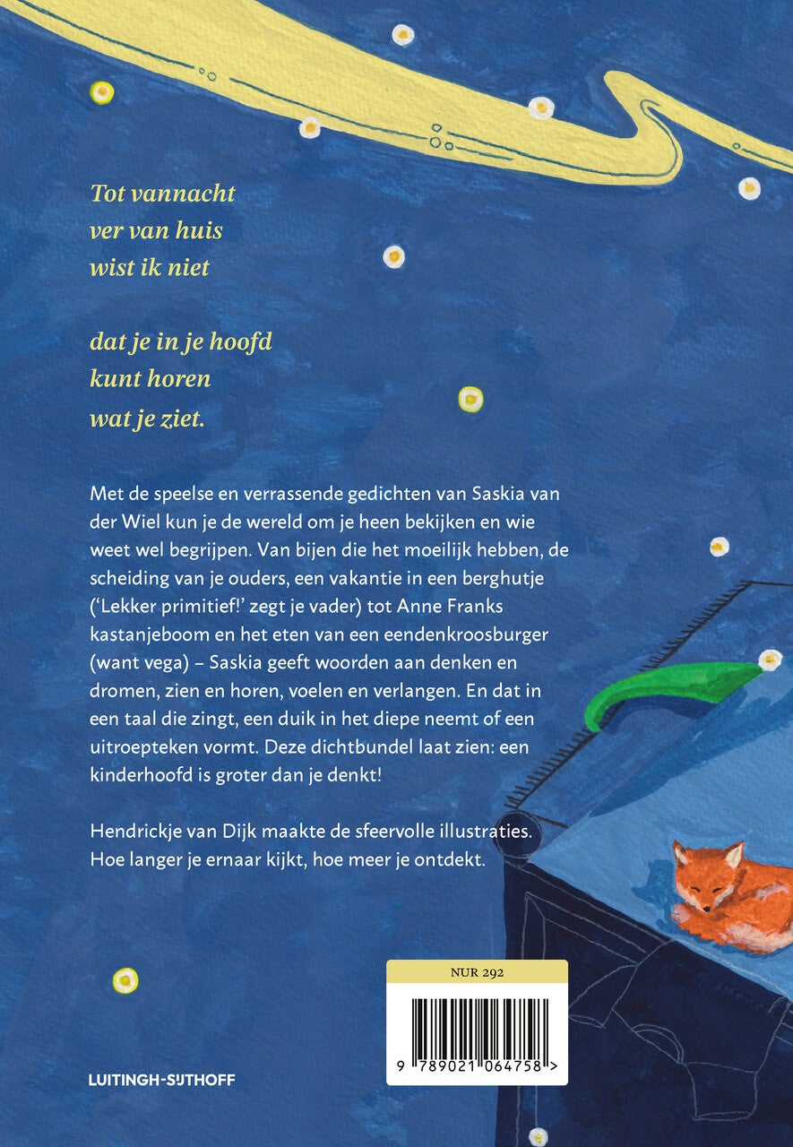 Dat past allemaal in je hoofd (Hardback) Dat past allemaal in je hoofd (Hardback)