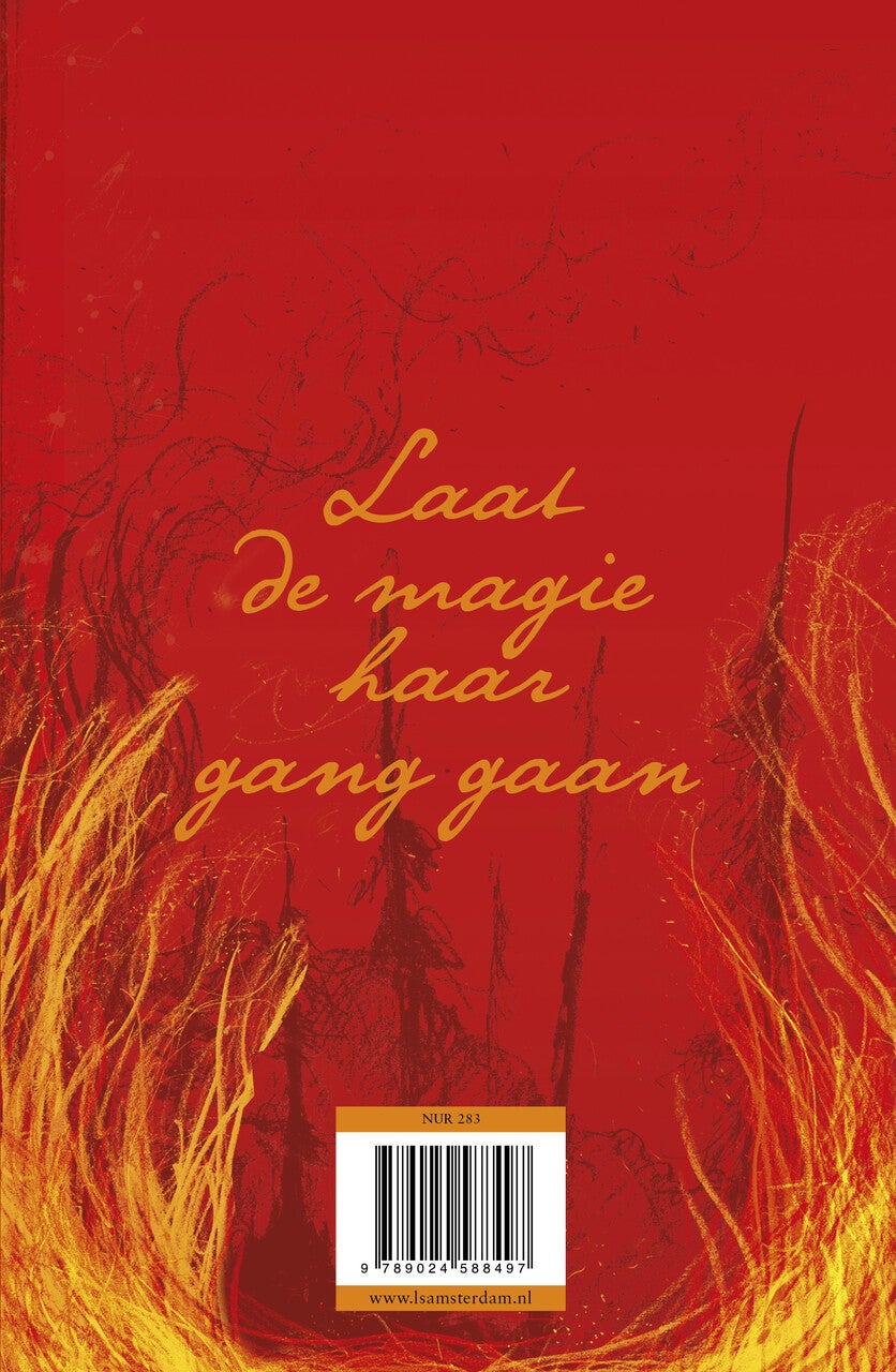De Tovenaars van Ooit 3 - Drie keer kloppen (Paperback) De Tovenaars van Ooit 3 - Drie keer kloppen (Paperback)