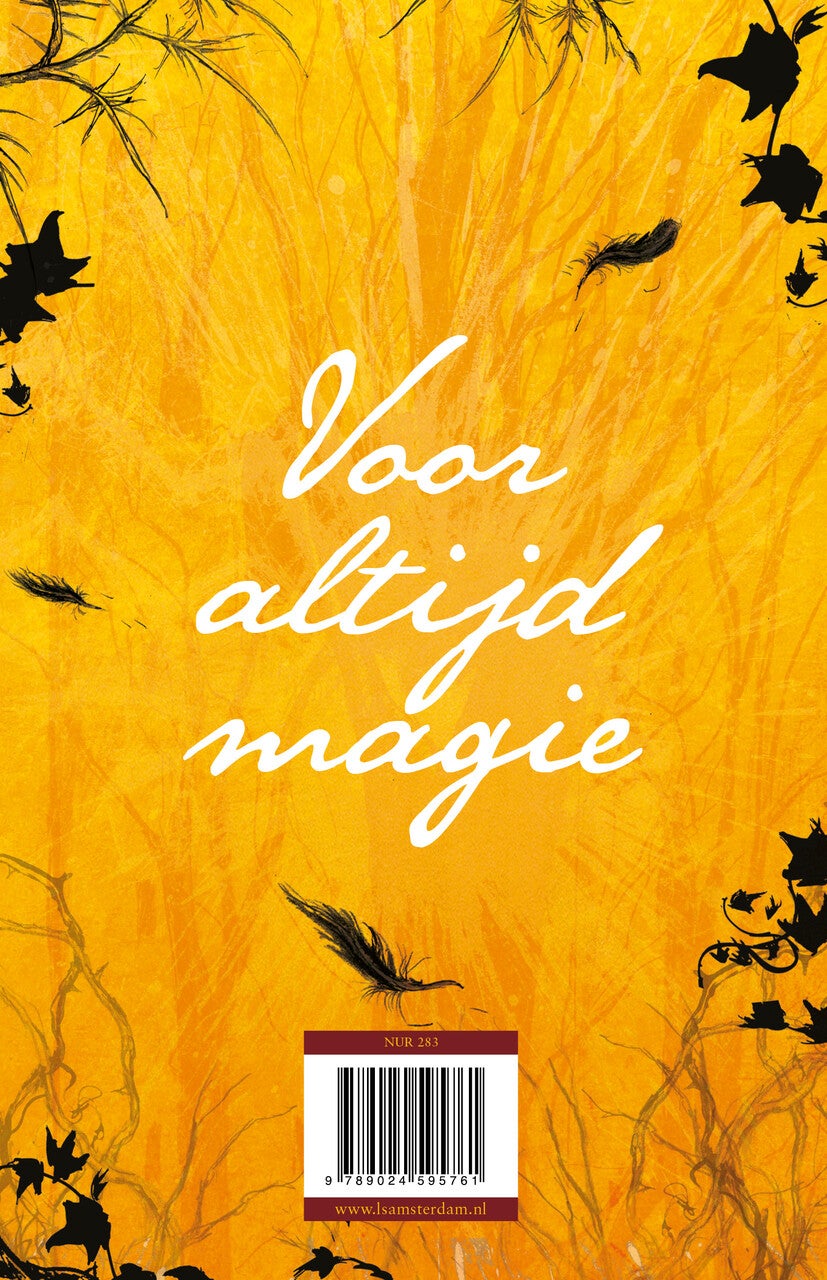 De Tovenaars van Ooit 4 - Nooit en voor altijd (Paperback) De Tovenaars van Ooit 4 - Nooit en voor altijd (Paperback)
