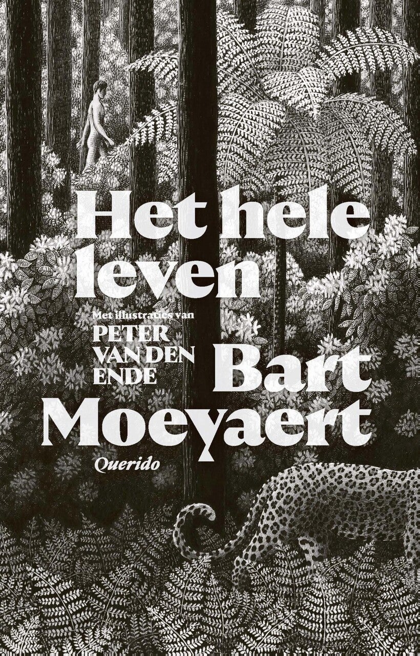 Het hele leven (E-book) Het hele leven (E-book)