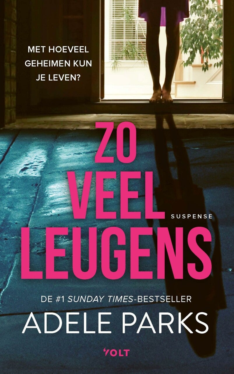 Zo veel leugens (E-book) Zo veel leugens (E-book)