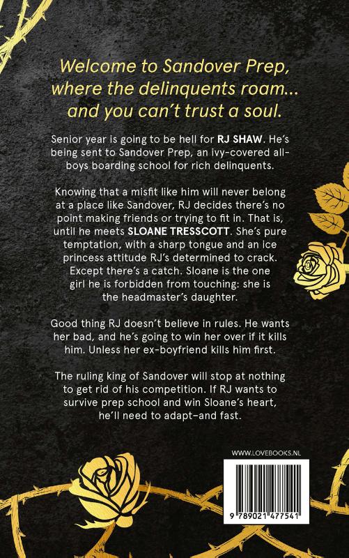 Misfit (Paperback) Misfit (Paperback)