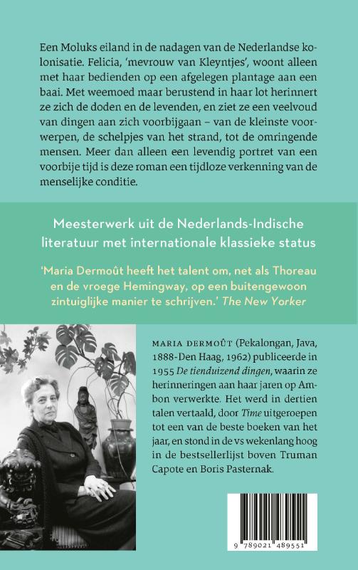 De tienduizend dingen (Paperback) De tienduizend dingen (Paperback)