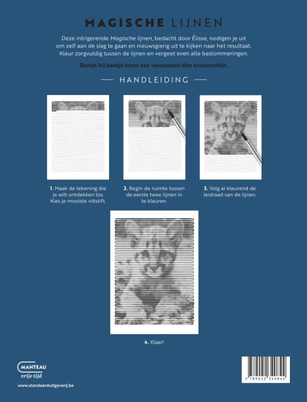 Magische lijnen Katten en katachtigen (Hardback) Magische lijnen Katten en katachtigen (Hardback)