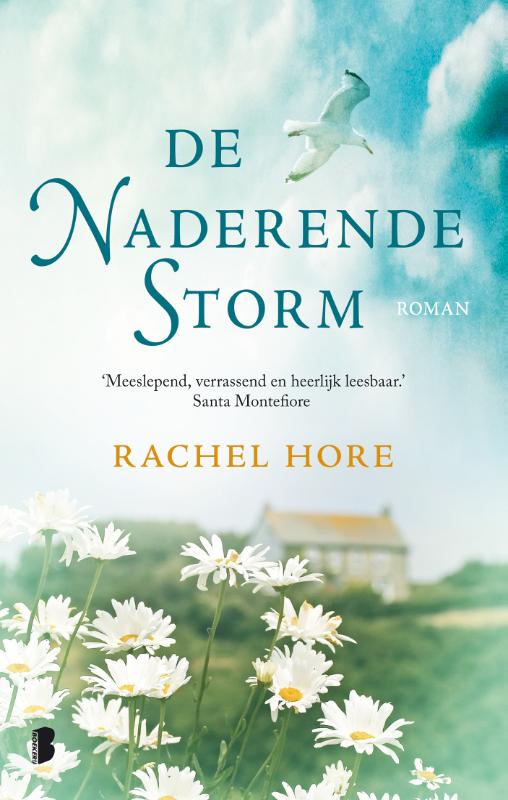 De naderende storm (Paperback) De naderende storm (Paperback)