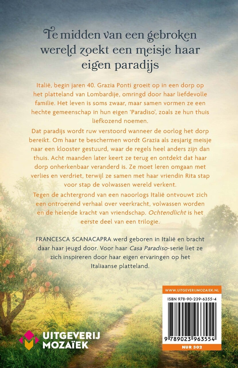 Ochtendlicht (E-book) Ochtendlicht (E-book)