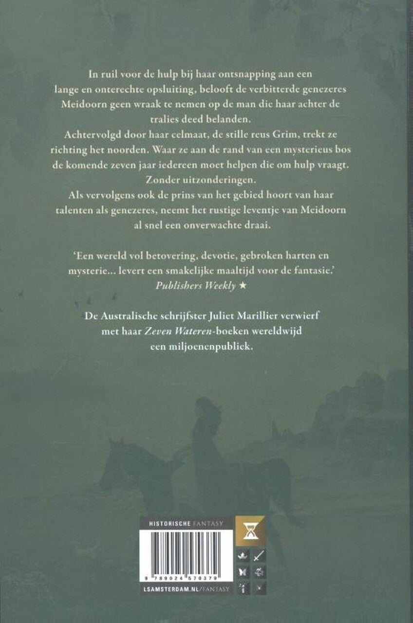 Dromerspoel (E-book) Dromerspoel (E-book)