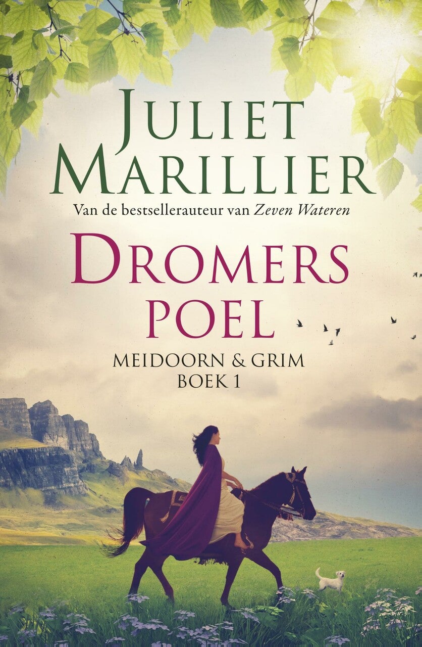 Dromerspoel (E-book) Dromerspoel (E-book)