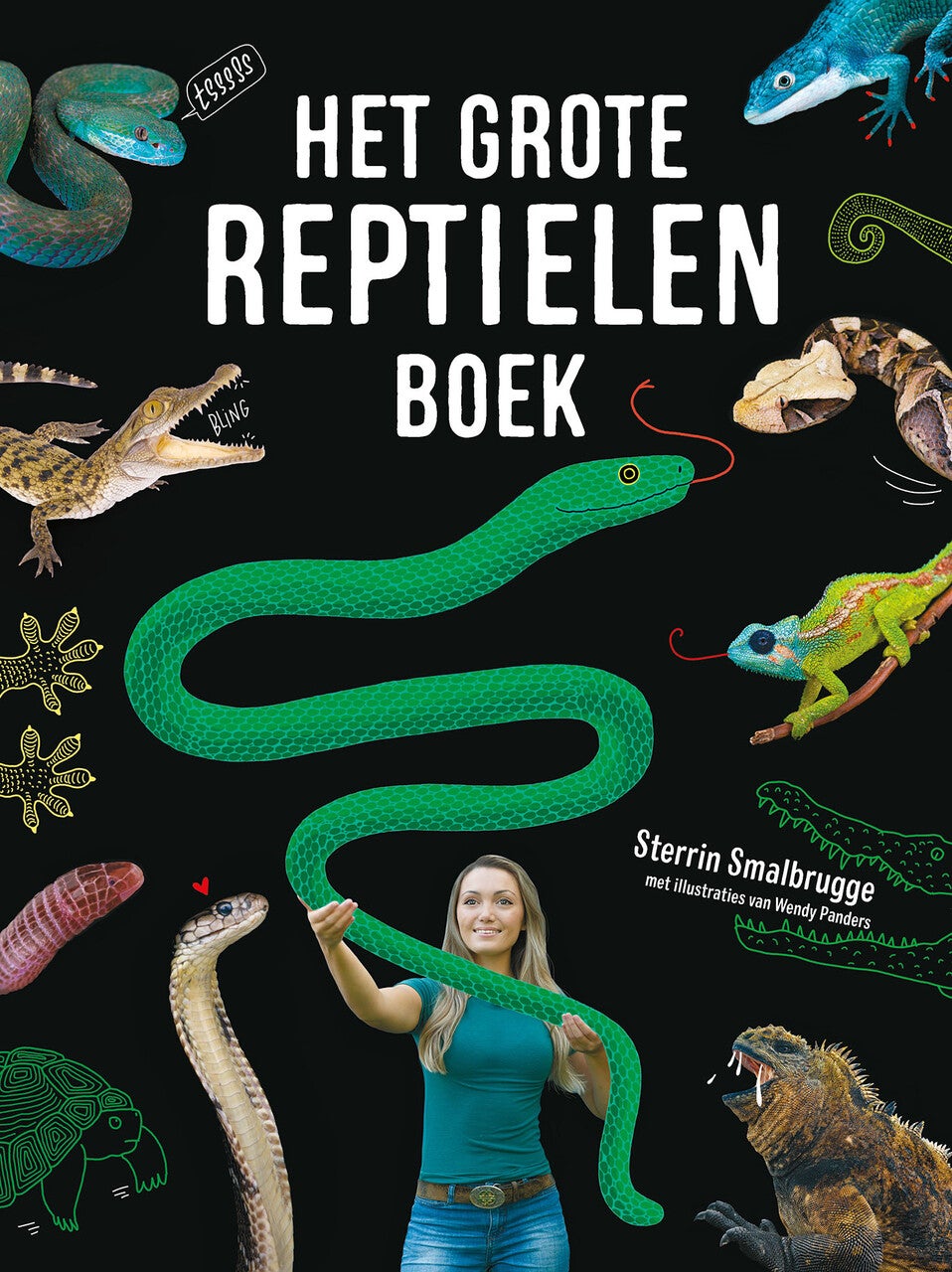 Het grote reptielenboek (Hardback) Het grote reptielenboek (Hardback)