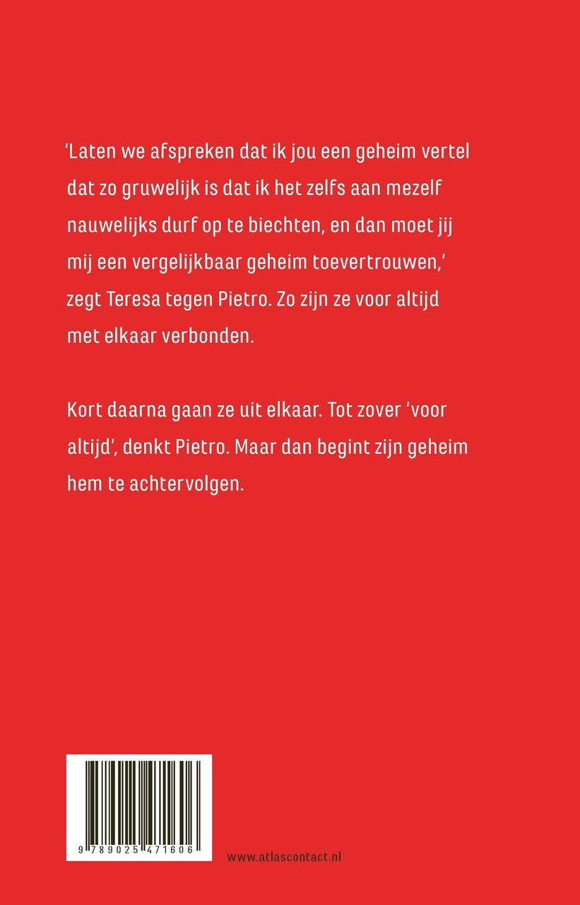 Geheimen (E-book) Geheimen (E-book)