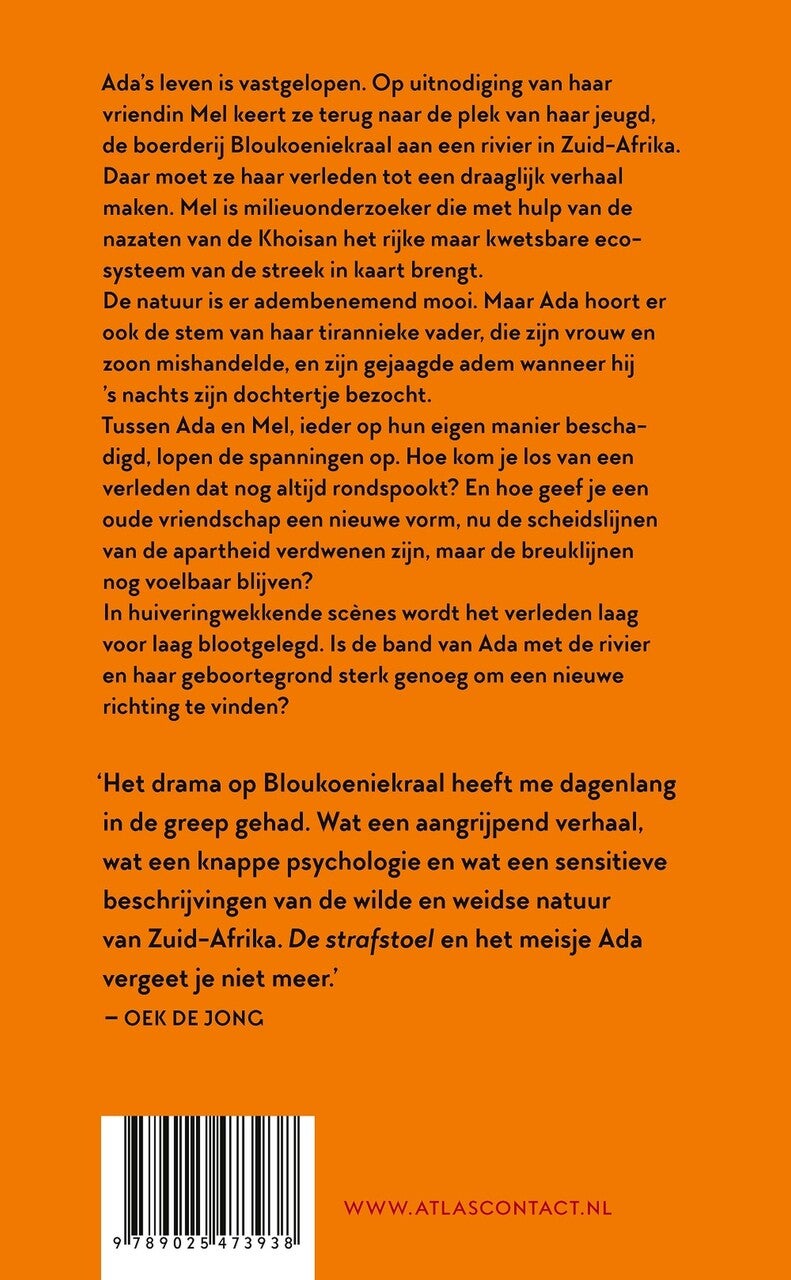 De strafstoel (E-book) De strafstoel (E-book)