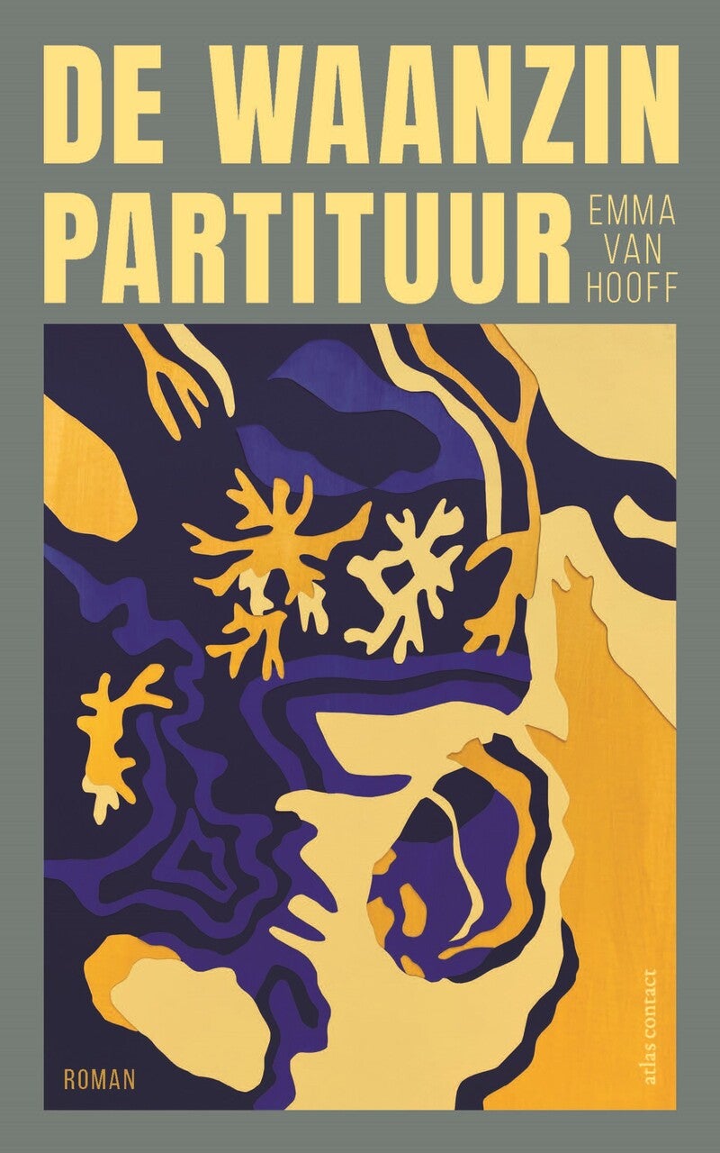 De waanzinpartituur (E-book) De waanzinpartituur (E-book)