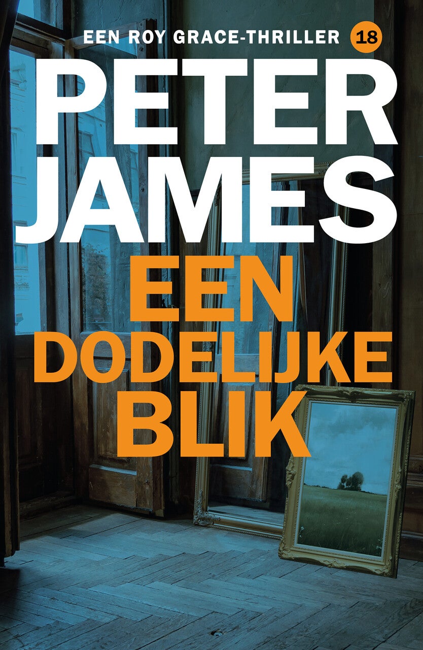 Een dodelijke blik (E-book) Een dodelijke blik (E-book)