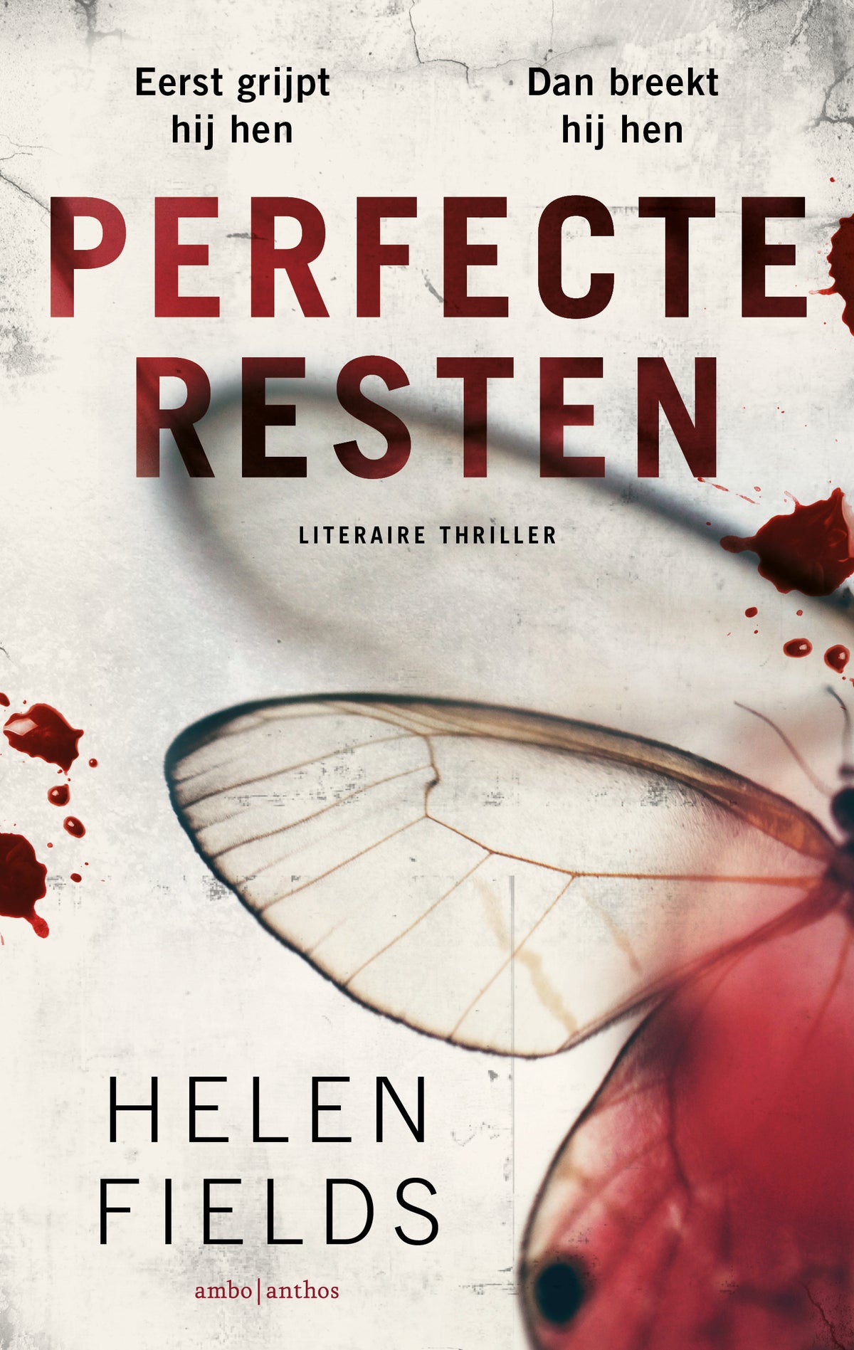 Perfecte resten (Paperback) Perfecte resten (Paperback)